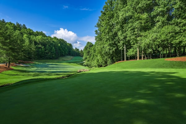 Champion HIlls_15B_6-24_WebReady